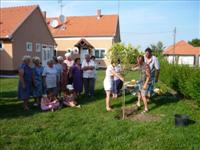 Fa�ltet�s