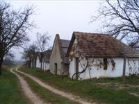 Sz�l�hegy