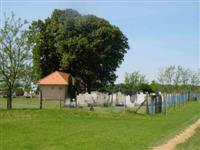 Temet�