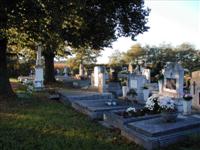 Temet�