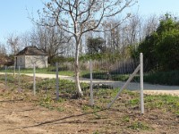 Z�rtkerti Program